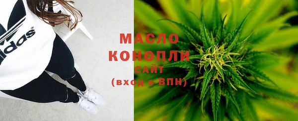индика Волоколамск