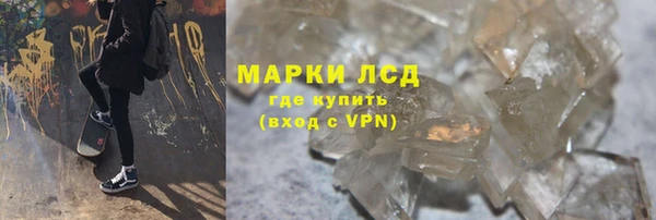 прущие грибы Верея