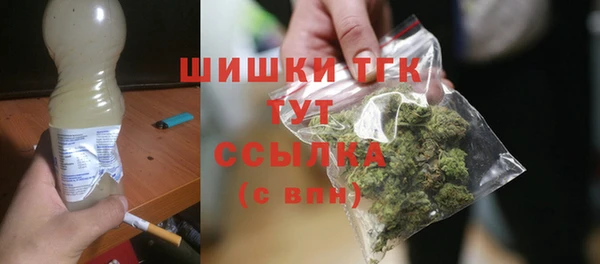прущие грибы Верея