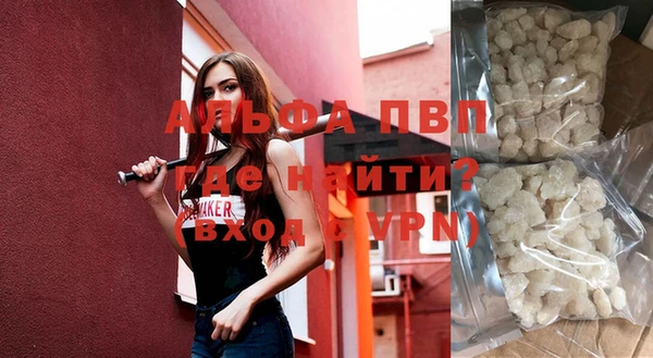 прущие грибы Верея