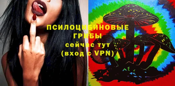 прущие грибы Верея