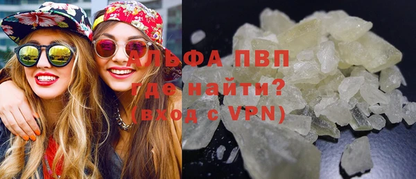 прущие грибы Верея