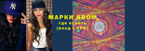 прущие грибы Верея