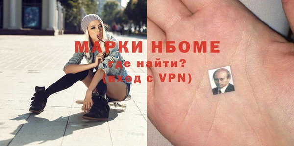 прущие грибы Верея