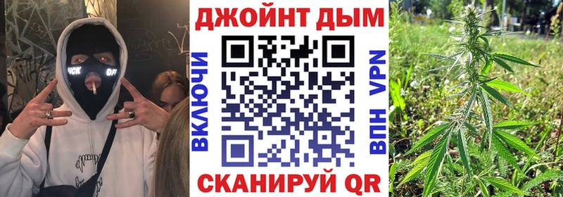 Шишки марихуана план  Купить где  Луховицы 